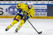 HCC - AROSA