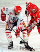 Eishockey NLA - SC Rapperswil-Jona