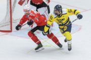 SCHWEDEN - SCHWEIZ