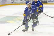 FRIBOURG - TIGERS