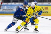 HCC - AROSA