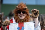 ENGLAND - WALES