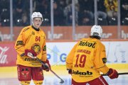 BERN - TIGERS