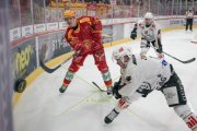TIGERS - LUGANO