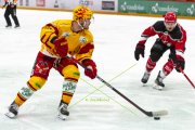 LAUSANNE - TIGERS