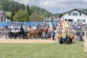 SOLOTHURNER KANTONAL SCHWINGFEST