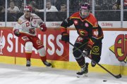 BERN - MOUNTFIELD
