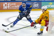 FRIBOURG - TIGERS