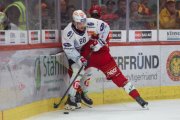 TIGERS - ZSC