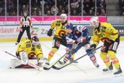 ZSC - BERN