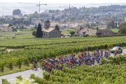 TOUR DE ROMANDIE FRAUEN 2023