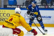 FRIBOURG - TIGERS