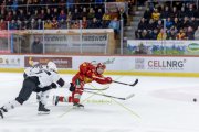 TIGERS - LAUSANNE