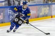 FRIBOURG - TIGERS