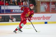 TIGERS - ZSC