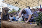 AARGAUER KANTONALSCHWINGFEST