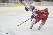 TIGERS - ZSC