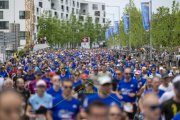 WINGS FOR LIFE WORLD RUN ZUG