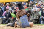 BASELSTAEDTISCHER SCHWINGERTAG