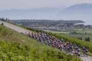 TOUR DE ROMANDIE FRAUEN 2023