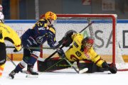 AMBRI - BERN