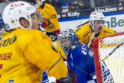 FRIBOURG - TIGERS