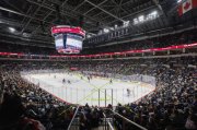 WINNIPEG - ARIZONA