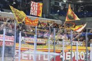 AMBRI - TIGERS