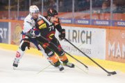BERN - ZSC