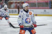 TIGERS - ZSC