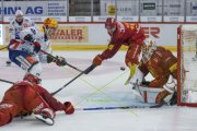 TIGERS - ZSC