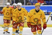 AMBRI - TIGERS