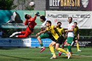 YB - KRIENS
