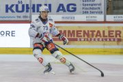 TIGERS - ZSC