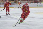 TIGERS - ZSC
