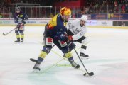 TIGERS - AMBRI
