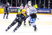 GENF - FRIBOURG