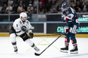 FIALA ALLSTARS - ZSC