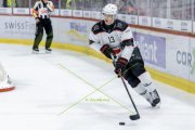 TIGERS - LAUSANNE