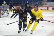 TRAINING SCHWEDEN
