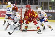 TIGERS - KLOTEN