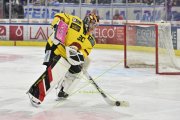 AMBRI - BERN