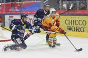 AMBRI - TIGERS