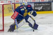 DAVOS - ZSC