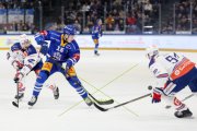 ZUG - ZSC