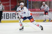 TIGERS - ZSC