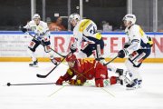 AMBRI - TIGERS