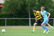 YB - WESTERLO