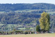 GREIFENSEELAUF 2026
