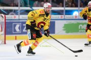 ZSC - BERN